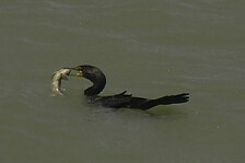 fishing 1.jpg